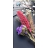 DIY-pakket bloemenkrans - LARGE
